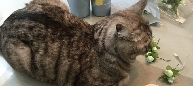 ラッピング教室の材料を自宅で仕込み