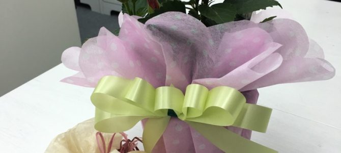 ラッピング協会のフラワーラッピング指導者養成クラスの講習をしてきました。