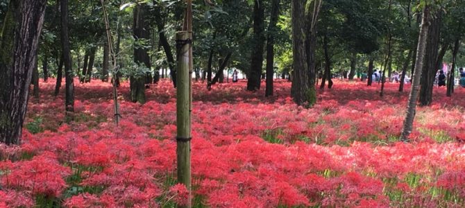 「趣味」バイクでツーリング中 「趣味」バイクでツーリング中
