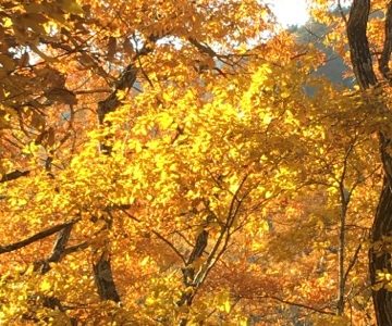 久しぶりのドライブ 久しぶりのドライブ