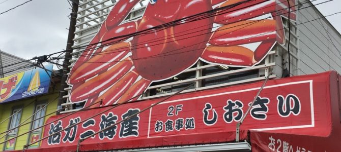 2017年 明けましておめでとうございます 2017年 明けましておめでとうございます