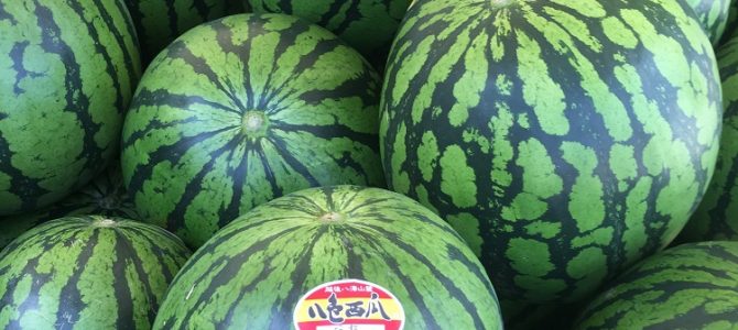 西瓜の食べ放題は、500円で決まり！（＾＾）