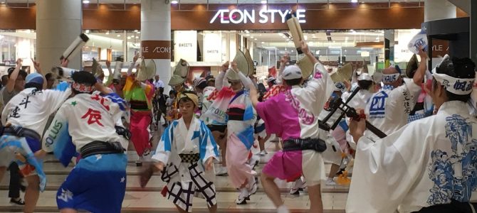 猫茶＆阿波踊り