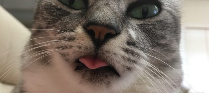 新規 講座を、千葉県で開催することとなりました。