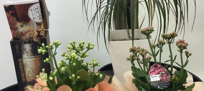 ラッピング協会東京本部にてフラワーラッピングの講習をしてまいりました。part2! ラッピング協会東京本部にてフラワーラッピングの講習をしてまいりました。part2!