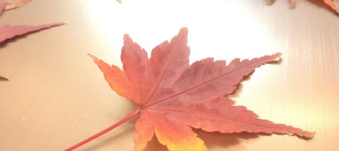 新そば、はっとう、ほおずき、チーズに餃子の、秋祭りなので～す！?