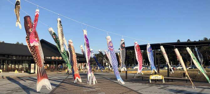 もわー！っとされました！