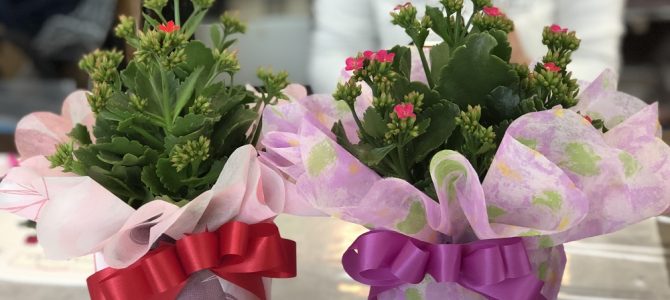 フラワーラッピング埼玉教室で華やかに（＾＾）