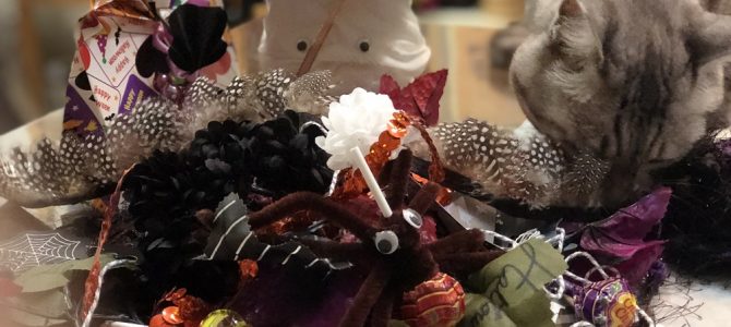 ハロウィンラッピング と もけもけの実 ハロウィンラッピング と もけもけの実