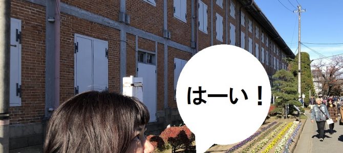 世界遺産を見に行ってきました。