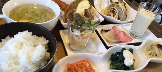だいだらさんに会って、自然食を食べて、さるぼぼの新体操を見て、ネギ車を発見！