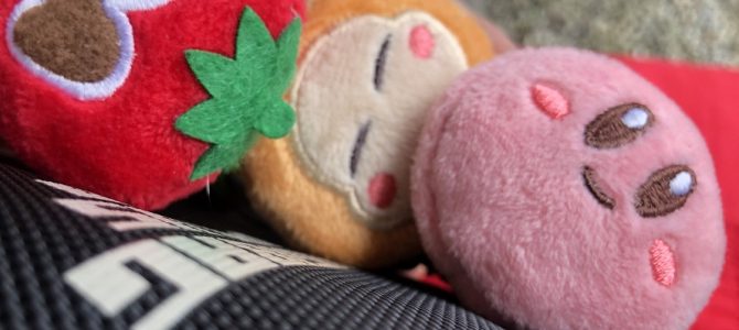 1年ぶりに走りました。