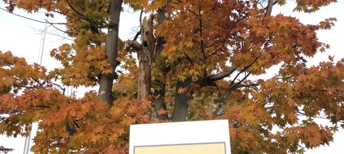 軽井沢商工会様にてラッピングの基礎編講座を行ってまいりました。