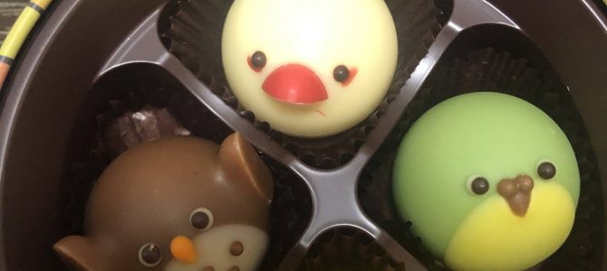 ラッピング協会東京本部にてフラワーラッピングの応用クラス2日目を担当してまいりました。